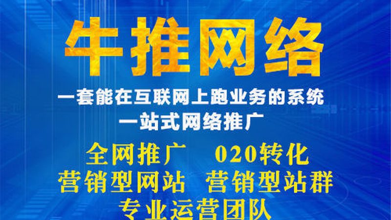 网站推广：避开陷阱，提升ROI的关键策略